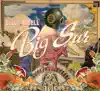 Big Sur album lyrics, reviews, download