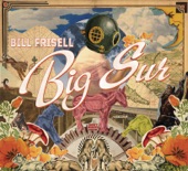 Bill Frisell - A Beautiful View