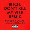 Bitch, Don't Kill My Vibe (feat. Emeli Sandé) [Remix] - Single, 2013