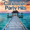 Caribbean Party Hits (Jamaica, Soca, Latin and Steel Drum Sounds to Party)