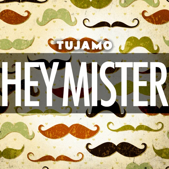 Cover artwork for Hey Mister (Extended)