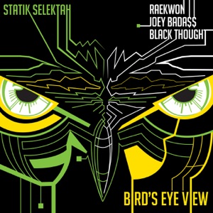 Bird's Eye View (feat. Raekwon, Joey Bada$$ & Black Thought) - Single