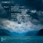 Nina Stemme, Thomas Dausgaard & Swedish Chamber Orchestra - 5 Gedichte fur eine Frauenstimme, "Wesendonck Lieder": IV. Schmerzen (Pain) [arr. F. Mottl]