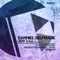 Joy & Life (Matthew Codek Remix) - Danniel Selfmade lyrics