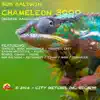 Stream & download Chameleon 3000 (feat. Ragan Whiteside & Gabriel Mark Hasselbach) - Single