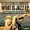What Is Jazz (DNGR Remix) song lyrics