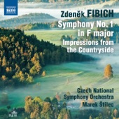 Fibich: Symphony No. 1 - Impressions from the Countryside artwork