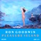 Pleasure Island - Ron Goodwin and His Orchestra lyrics