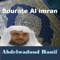 Sourate Al imran, Pt. 1 - Abdelwadoud Haneef lyrics