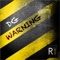 Warning - Dg lyrics