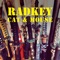 Cat & Mouse - Radkey lyrics