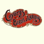 Birds and Arrows - Saddest Song