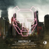 Destroy It (Original Mix) artwork