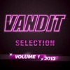 Vandit Selection 2013, Vol. 1, 2013
