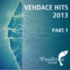 Vendace Hits 2013 - Pt. 1, 2013
