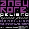 Peligro (Stevie Wilson Remix) - Angy Kore lyrics