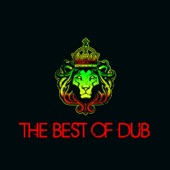 The Best of Dub, Essential Dub Tracks by Horace Andy, Lee Perry, Mad Professor, Max Romeo, Scientist & More! artwork