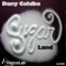 Sugar Land - Dany Cohiba lyrics