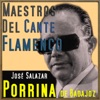 Maestros del Cante Flamenco