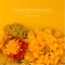 Fish Eyes - Haley Heynderickx lyrics