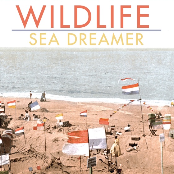 Cover artwork for Sea Dreamer