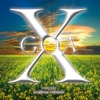 Goa X, Vol. 5, 2010