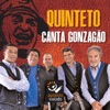 Quinteto Canta Gonzagão