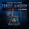 Forest Kingdom - Swann Decamme lyrics