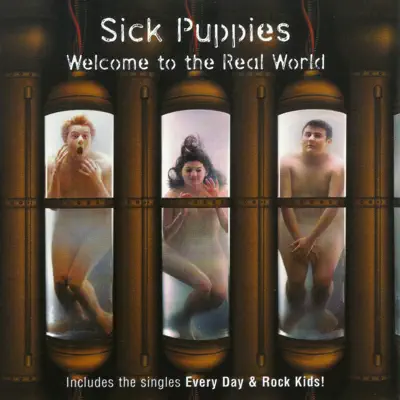 Welcome To the Real World - Sick Puppies