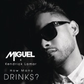 How Many Drinks? (feat. Kendrick Lamar) artwork