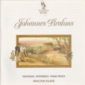 Brahms: Fantasias, Op. 116, Intermezzi, Op. 117 & Piano Pieces, Op. 118 & Op. 119 artwork