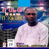 N'ulo Nnam Nigwe, Vol. 15 (with Agape Love Band Int'l) artwork
