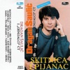 Dragan Saulic & GENIJALCI - Gubim Bitke, Gubim Rat