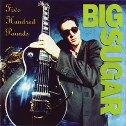 Five Hundred Pounds - Big Sugar