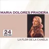 Stream & download La Flor de la Canela