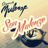 Son Mulenze - Single, 2013