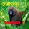 Let's Monkey Around (feat. Maximum) - Osmosis lyrics