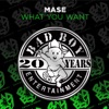 What You Want - EP