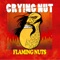 Peanut - Crying Nut lyrics