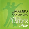 Bailes de Salón Latinos: Mambo & Cha Cha Cha