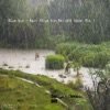Rain - Single, 2013