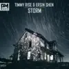 Stream & download Storm - Single