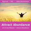 Attract Abundance album lyrics, reviews, download
