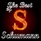 The best of schumann artwork