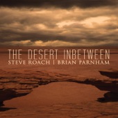 The Desert Inbetween artwork