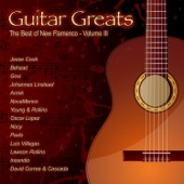 Guitar Greats the Best of New Flamenco, Vol. 3 artwork