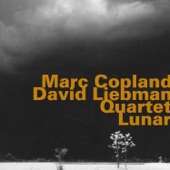 Marc Coplan - David Liebman Quartet: Lunar (feat. Mike McGuirk & Tony Martucci) artwork