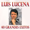 Luis Lucena: 40 Grandes Éxitos