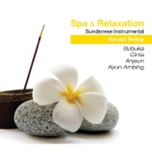Spa & Relaxation: Sundanese Instrumental artwork