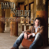Rust Belt Cowboy - David Shelby